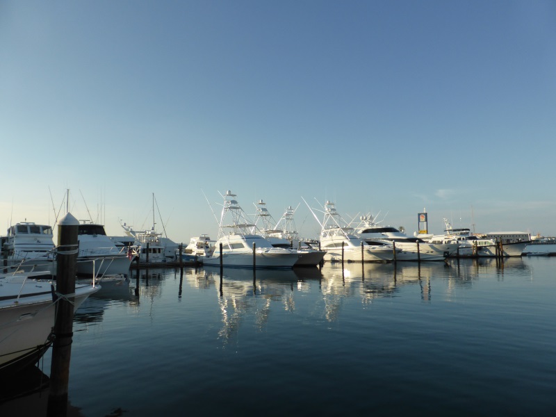 Road trip de l’été : de Fort Lauderdale à Key West